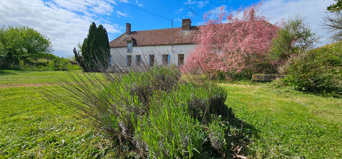 Maison à PAYNS