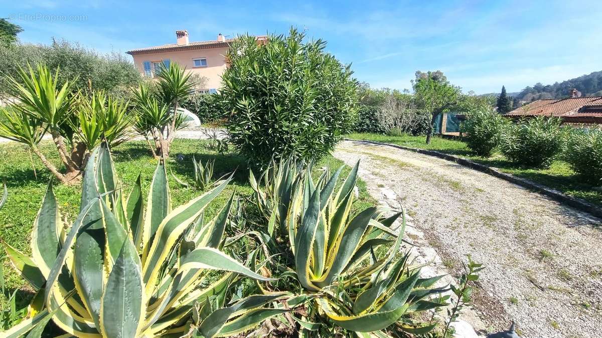 Maison à VILLENEUVE-LOUBET