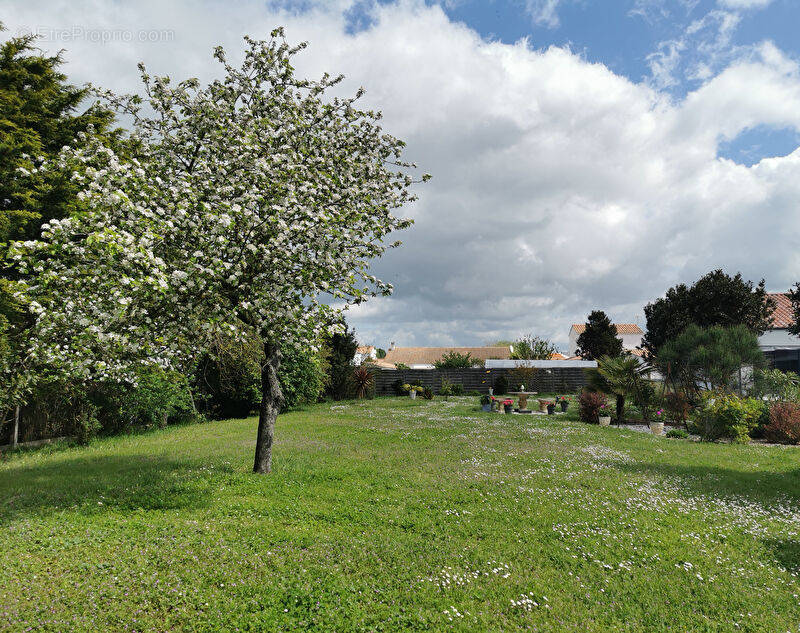 Terrain à SAINT-GILLES-CROIX-DE-VIE