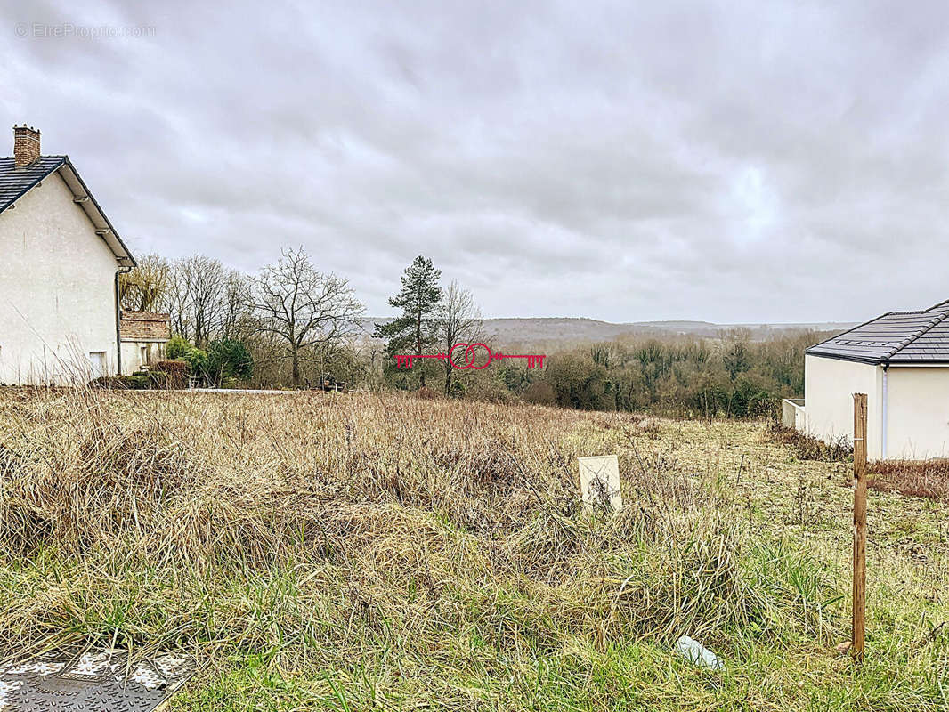 Terrain à MONTIGNY-SUR-VESLE