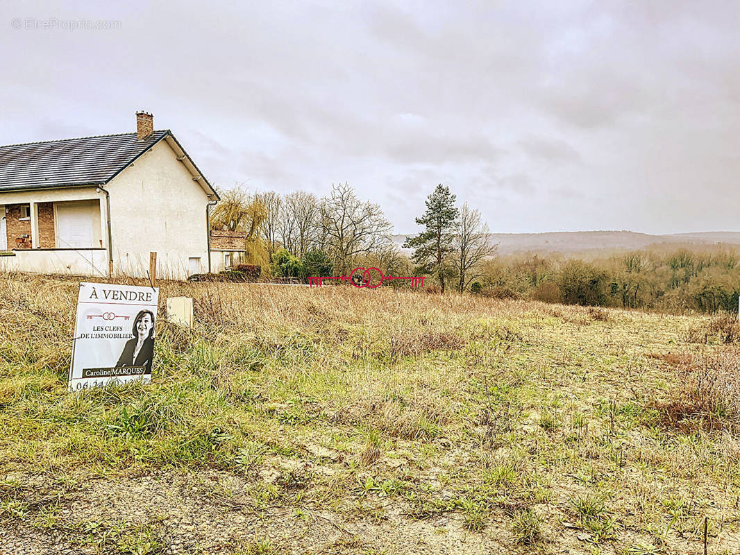 Terrain à MONTIGNY-SUR-VESLE