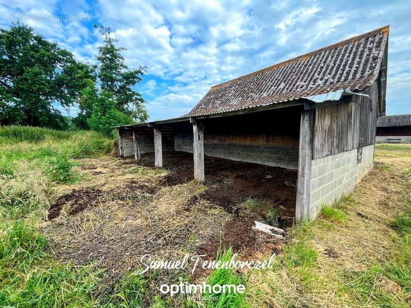 Maison à MEZIDON-CANON