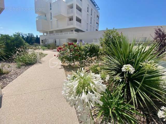 Appartement à CASTELNAU-LE-LEZ