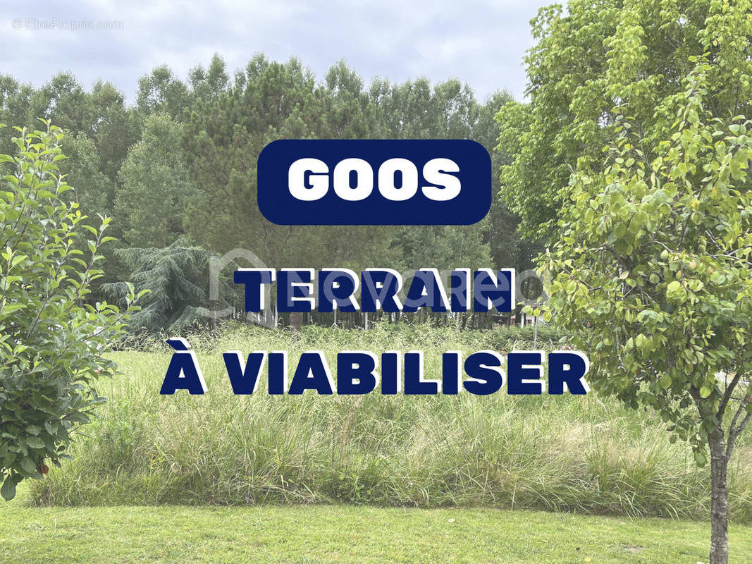 Terrain à GOOS