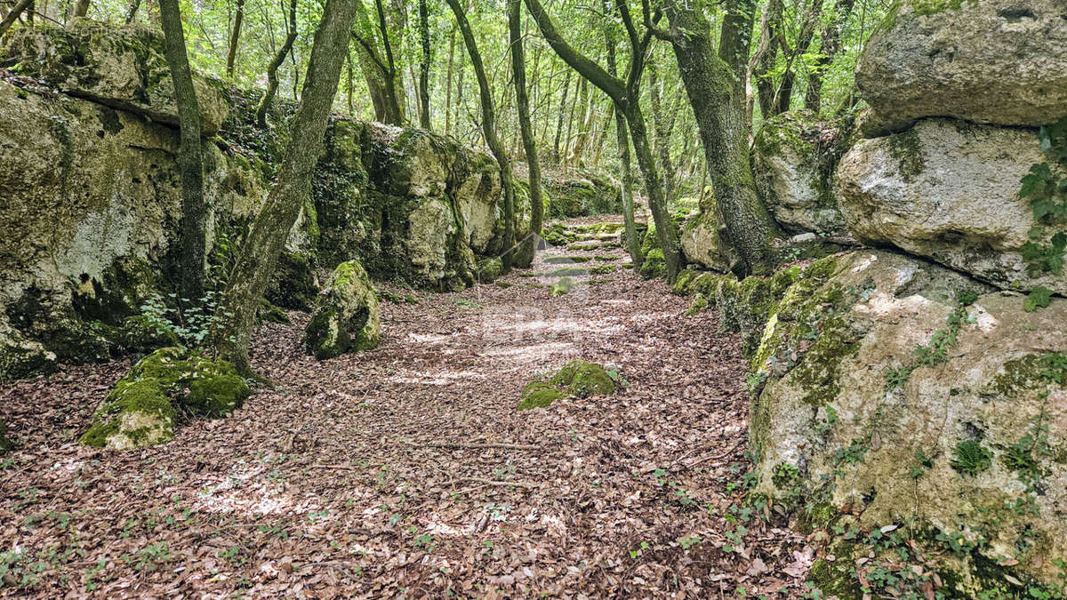 Terrain à TOURRETTES-SUR-LOUP