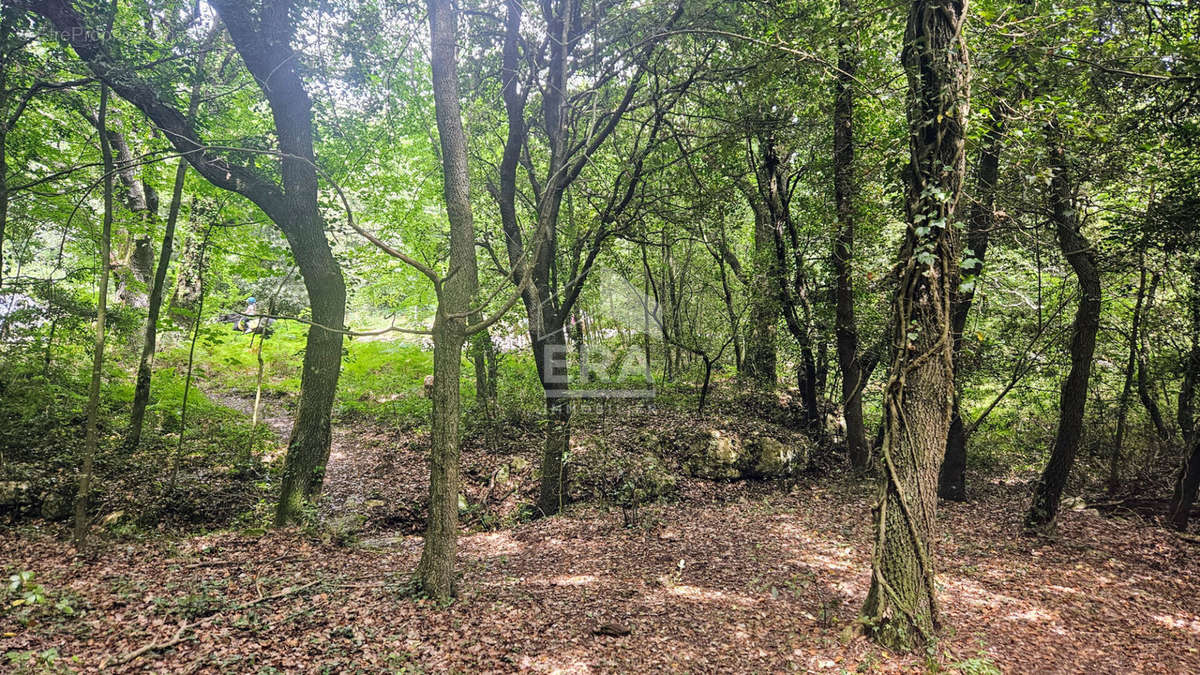 Terrain à TOURRETTES-SUR-LOUP