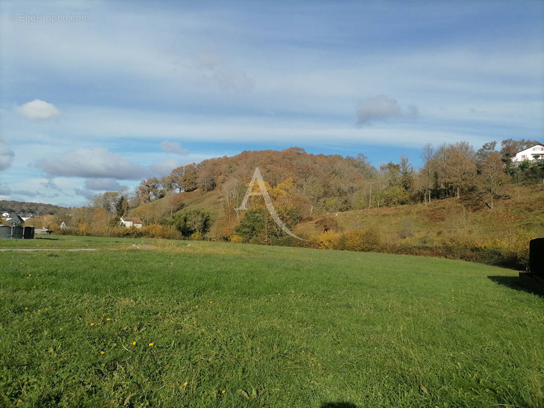 Terrain à MAULEON-LICHARRE