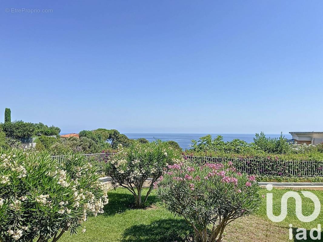 Photo 1 - Appartement à ROQUEBRUNE-CAP-MARTIN