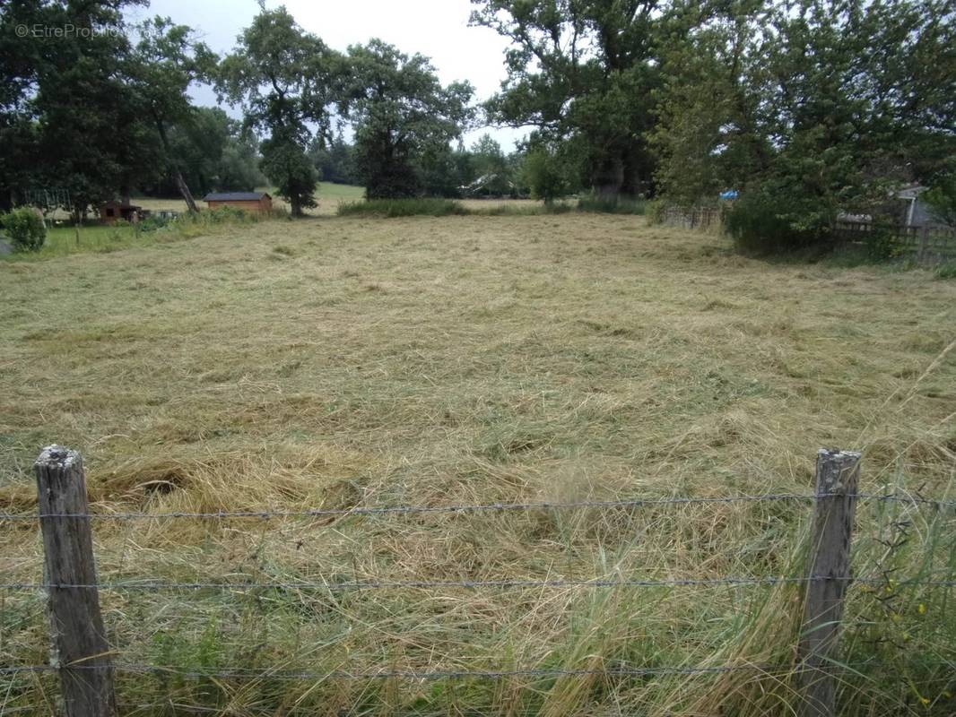 Terrain à BRESSOLLES