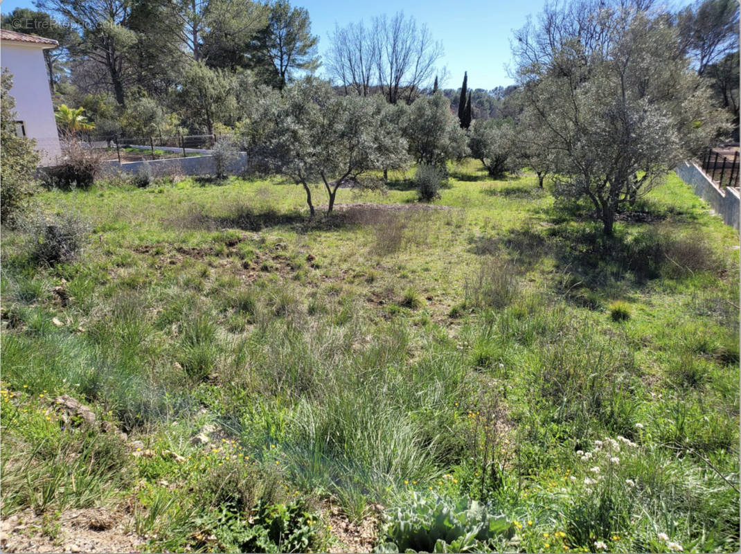 Terrain à TRANS-EN-PROVENCE