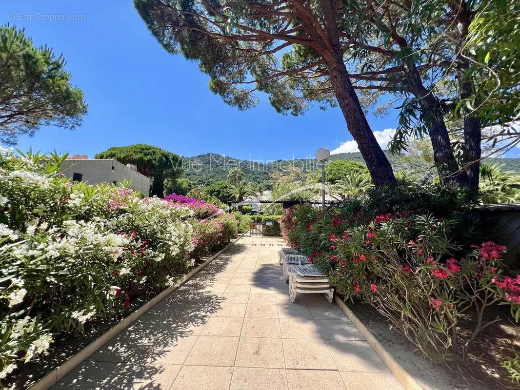 Appartement à LE LAVANDOU