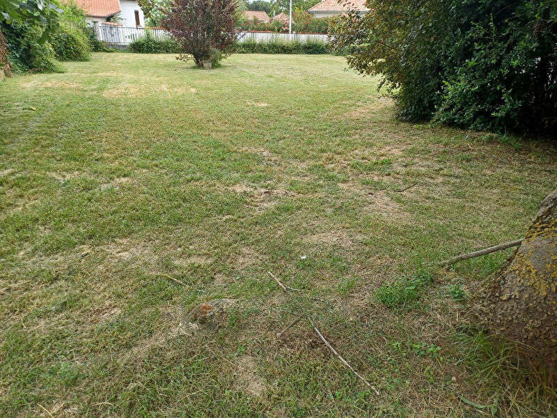 Terrain à LA SALVETAT-SAINT-GILLES