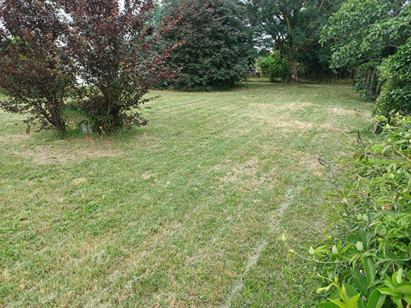 Terrain à LA SALVETAT-SAINT-GILLES