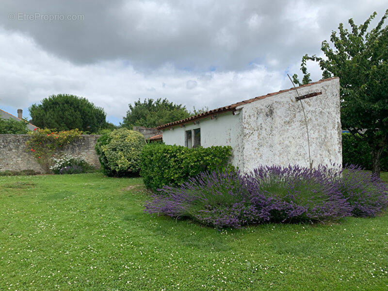 Terrain à MARENNES