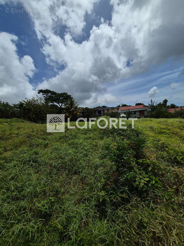 Terrain à LE MORNE-ROUGE