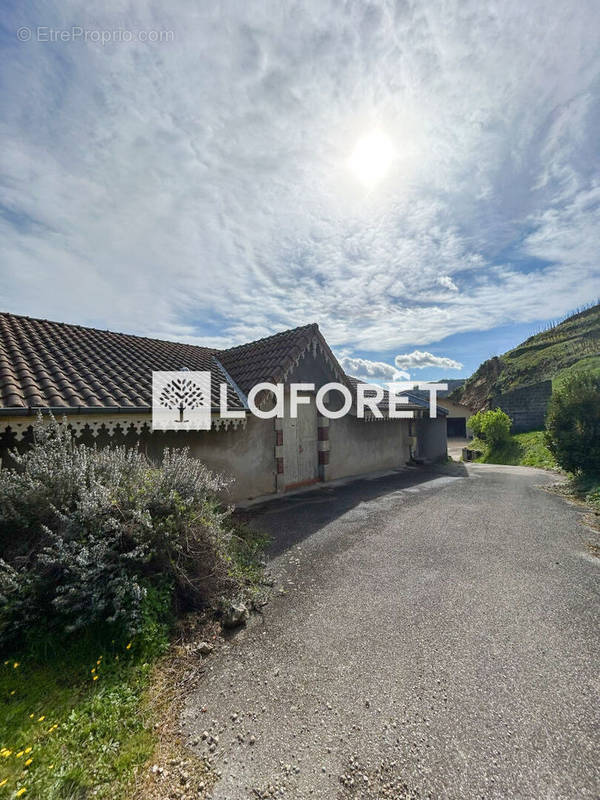 Maison à SAINT-JEAN-DE-MUZOLS