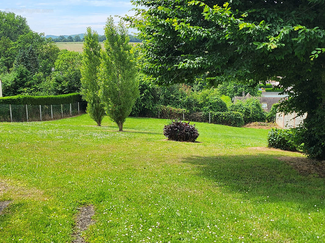 Terrain à SAINTE-GENEVIEVE