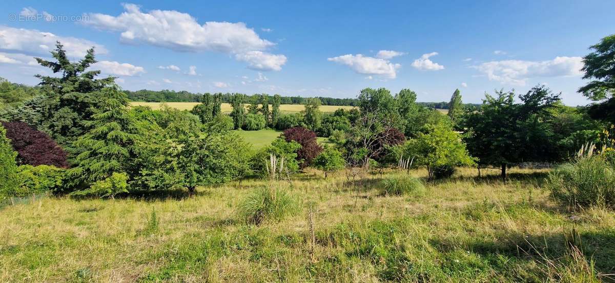 Terrain à LA CHAUSSEE-SAINT-VICTOR