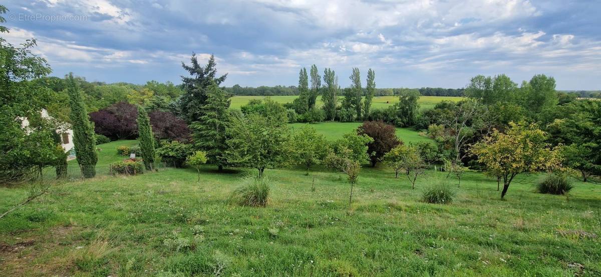 Terrain à LA CHAUSSEE-SAINT-VICTOR