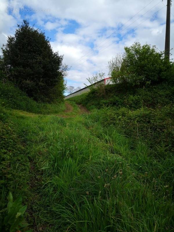 Terrain à GOURIN