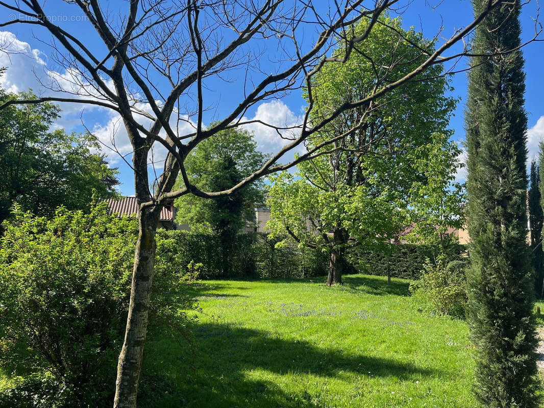 Terrain à SAINT-ANDRE-DE-CORCY