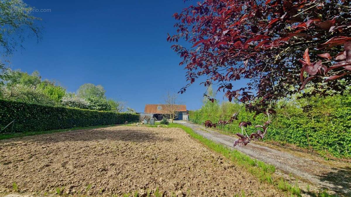 Maison à AVESNES-LE-COMTE