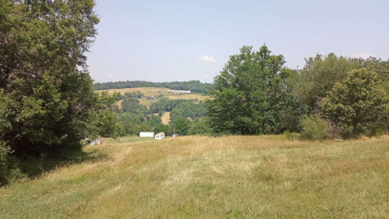 Terrain à LESCURE-D&#039;ALBIGEOIS