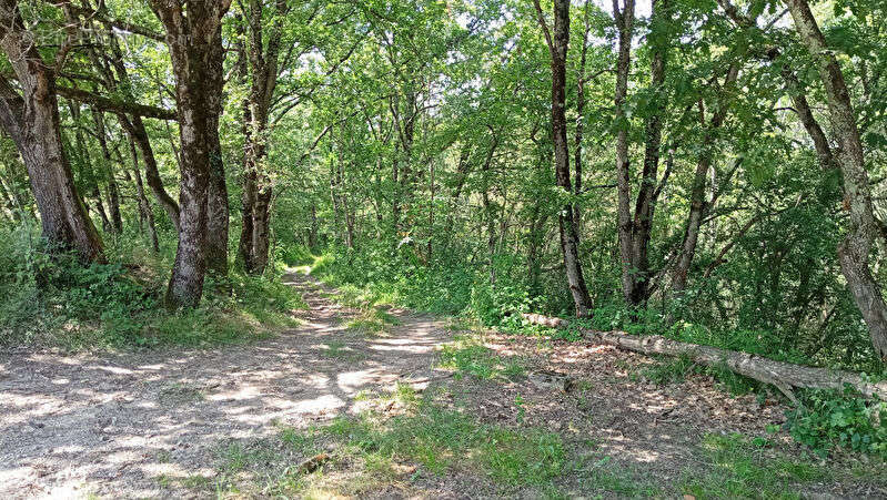 Terrain à LESCURE-D&#039;ALBIGEOIS