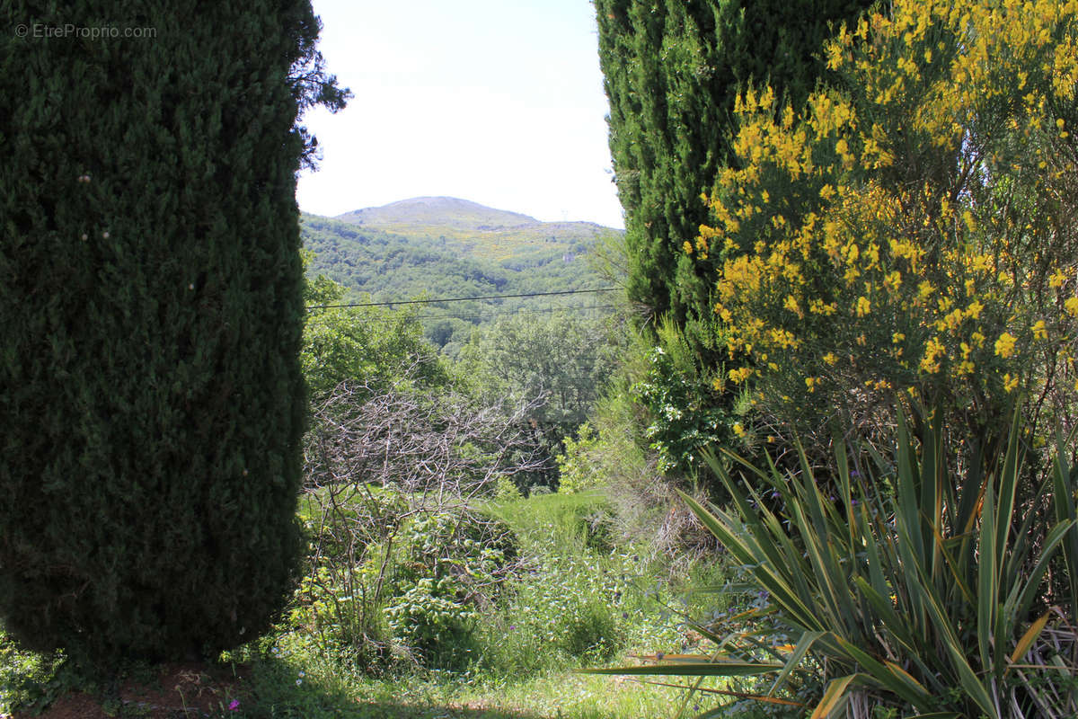 Maison à VENCE