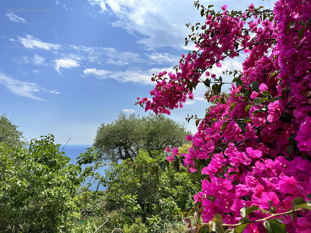 Maison à EZE