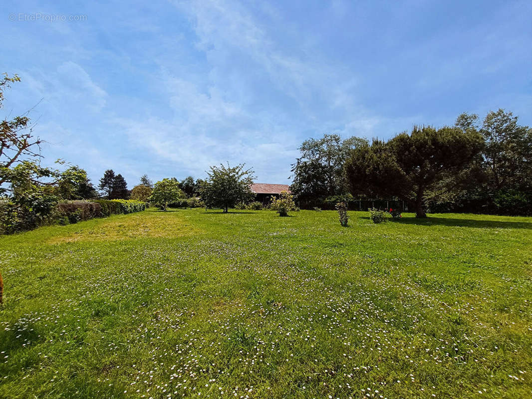 Maison à TREMBLAY-LES-VILLAGES