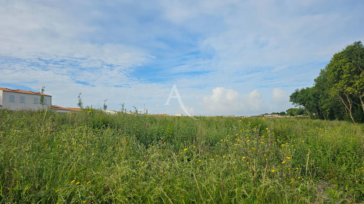 Terrain à PORT-DES-BARQUES