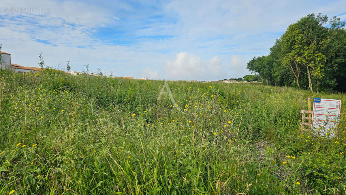 Terrain à PORT-DES-BARQUES