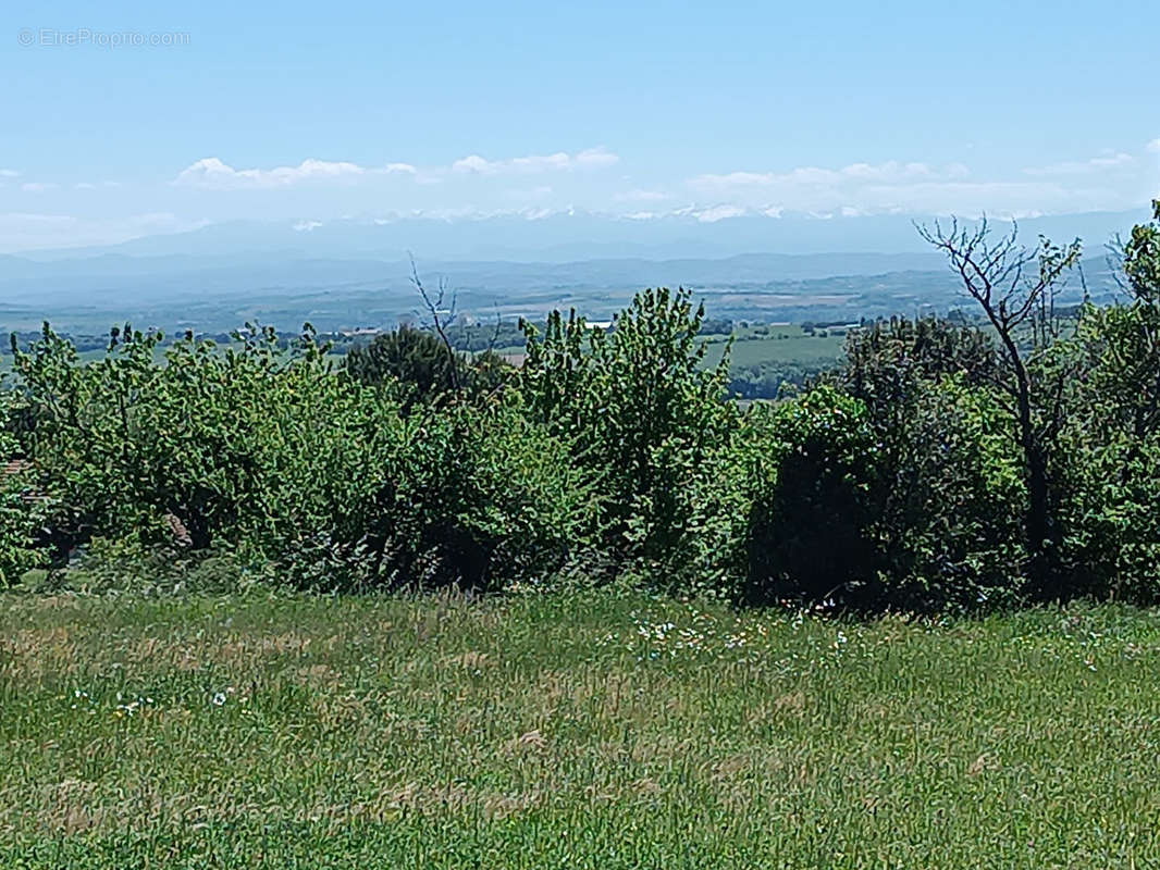 Terrain à BRAM