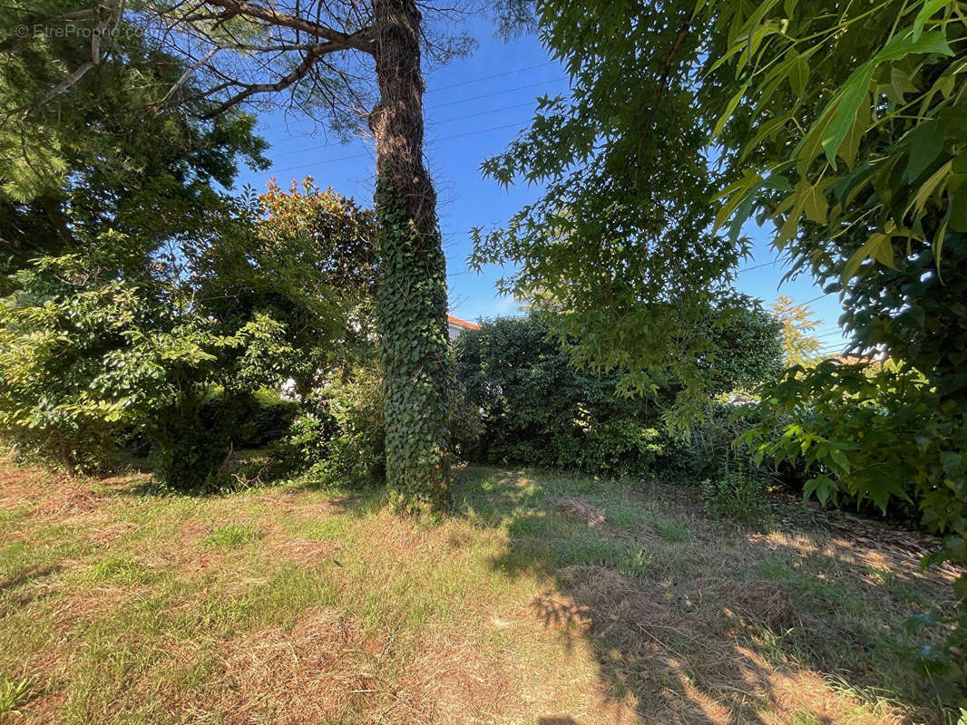 Terrain à BOUGUENAIS