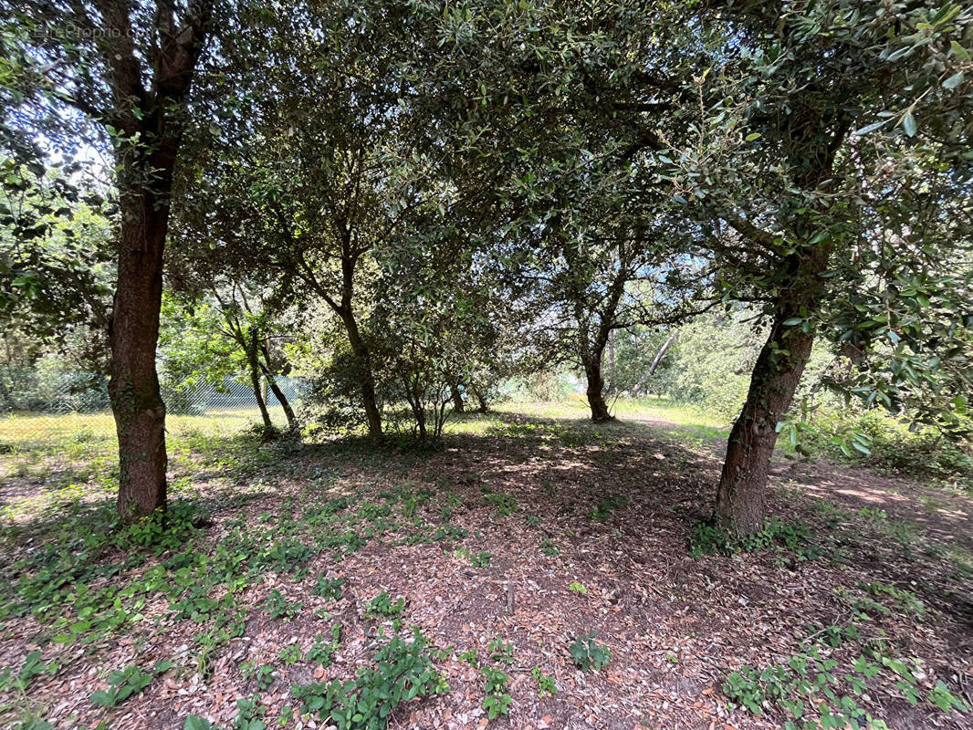 Terrain à LE GRAND-VILLAGE-PLAGE