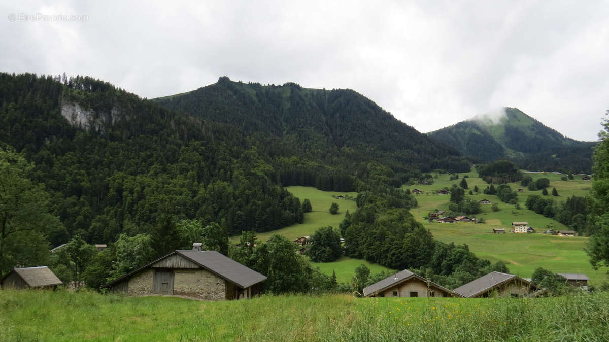 Terrain à ABONDANCE