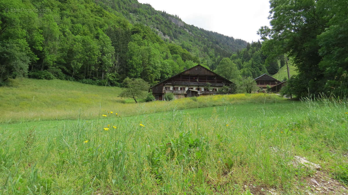 Terrain à ABONDANCE