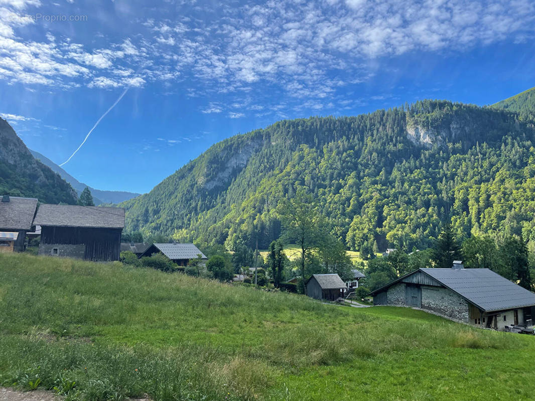 Terrain à ABONDANCE