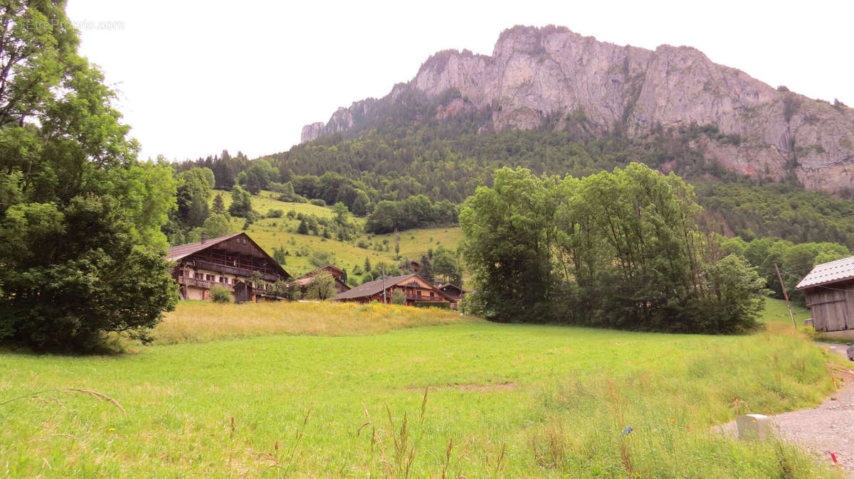 Terrain à ABONDANCE