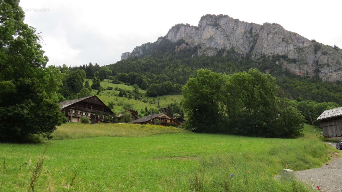 Terrain à ABONDANCE