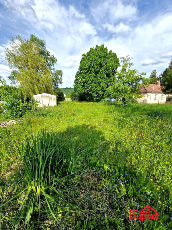 Terrain à SAINT-MARDS-EN-OTHE