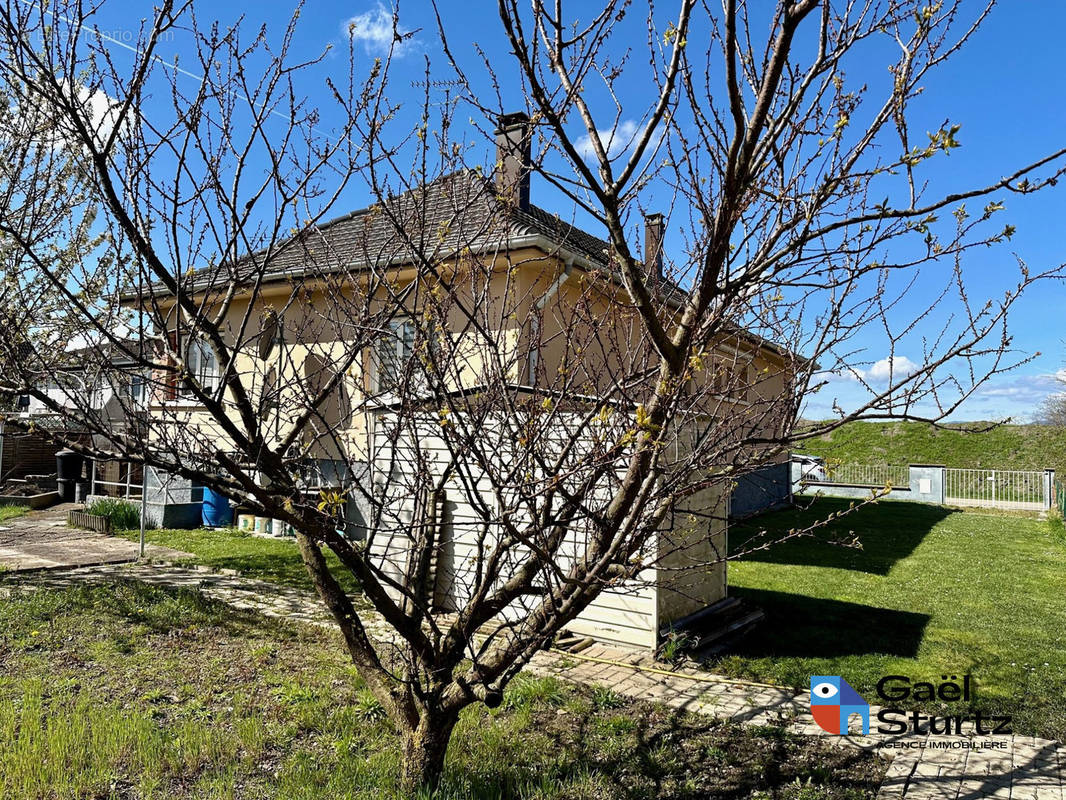 Maison à JEBSHEIM