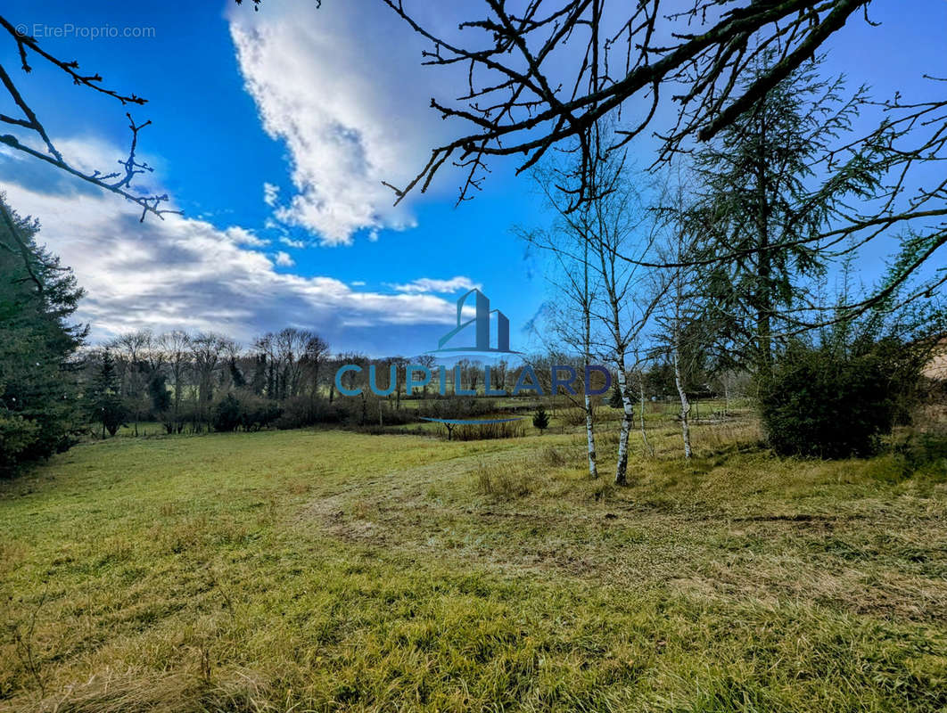 Terrain à SAINT-LEGER-SUR-ROANNE