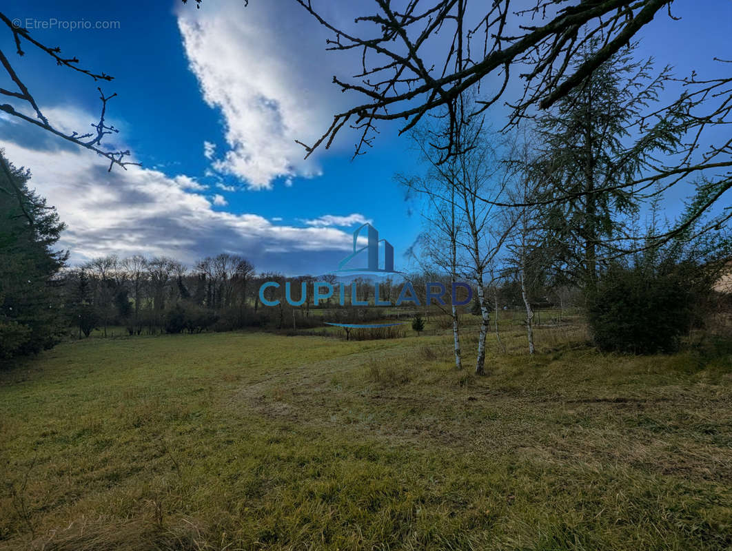 Terrain à SAINT-LEGER-SUR-ROANNE