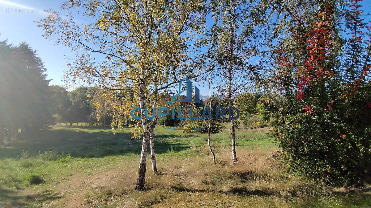 Terrain à SAINT-LEGER-SUR-ROANNE