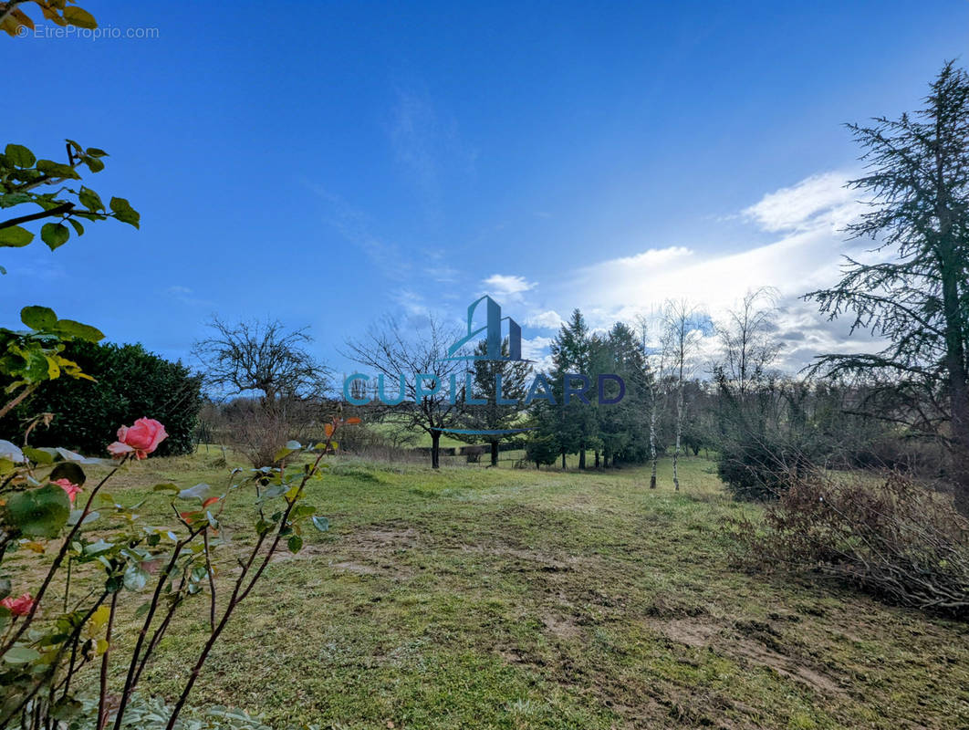 Terrain à SAINT-LEGER-SUR-ROANNE