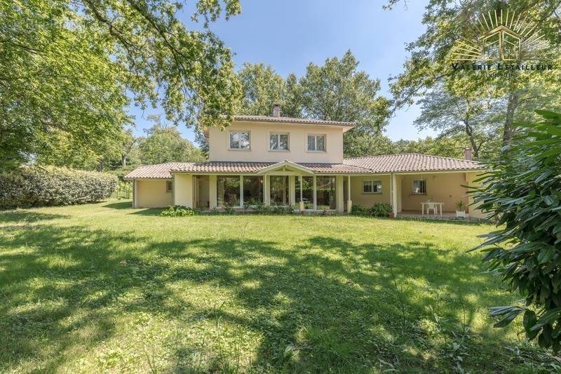 Maison à SAINT-SULPICE-ET-CAMEYRAC