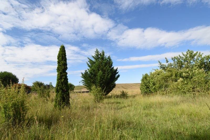 Terrain à BON-ENCONTRE