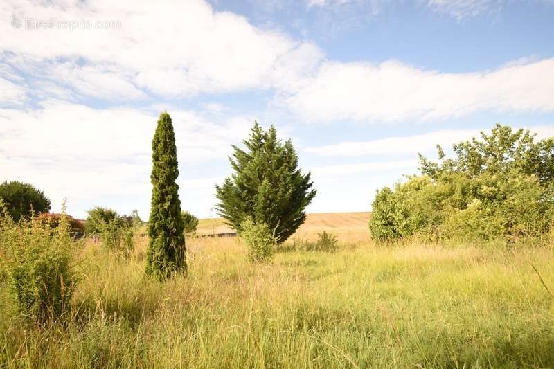 Terrain à BON-ENCONTRE